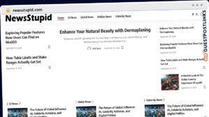 Publish Guest Post on newsstupid.com