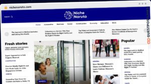 Publish Guest Post on nichenaruto.com