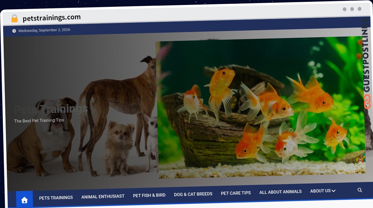Publish Guest Post on petstrainings.com