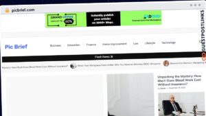Publish Guest Post on picbrief.com