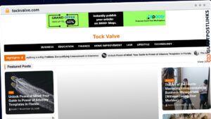 Publish Guest Post on tockvalve.com