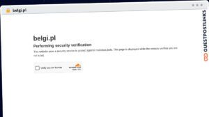Publish Guest Post on belgi.pl