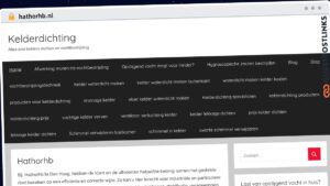 Publish Guest Post on hathorhb.nl