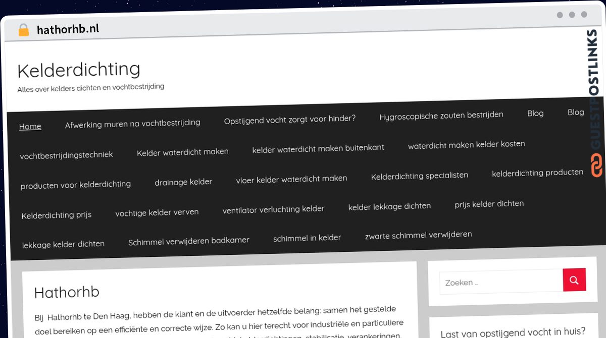Publish Guest Post on hathorhb.nl
