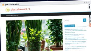 Publish Guest Post on placzabaw.net.pl